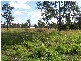 Bucca QLD 4670