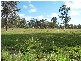 Bucca QLD 4670