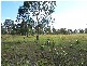 Bucca QLD 4670