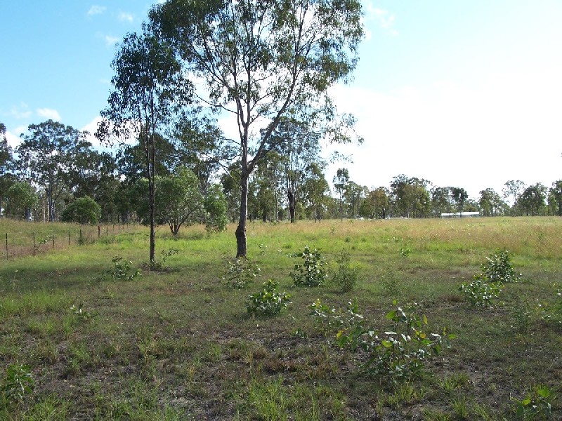 Bucca QLD 4670