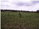 Bundaberg QLD 4670