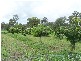 Gin Gin QLD 4671
