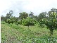 Gin Gin QLD 4671