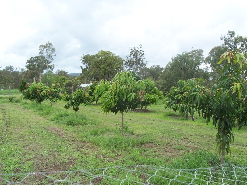 Gin Gin QLD 4671