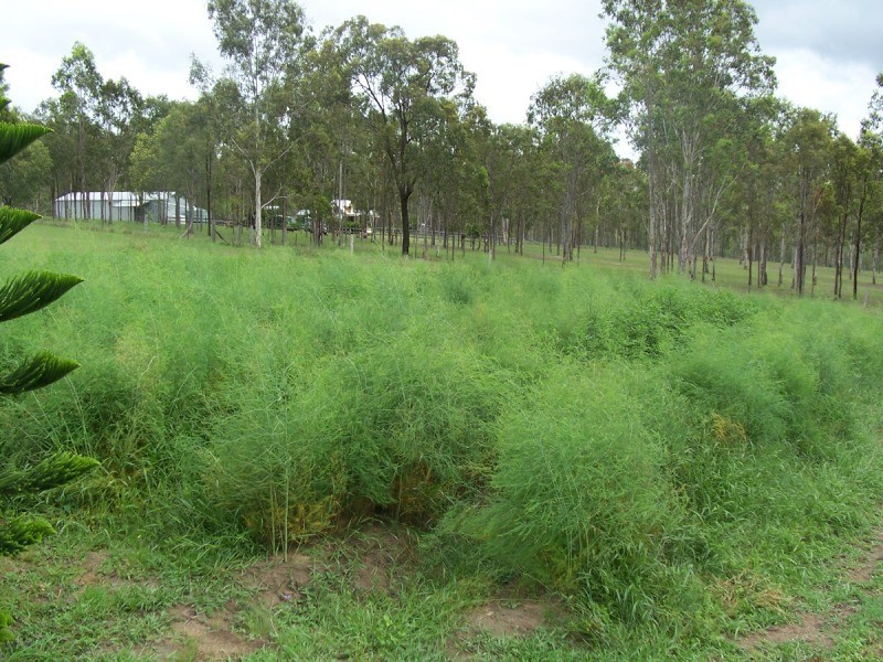 Gin Gin QLD 4671