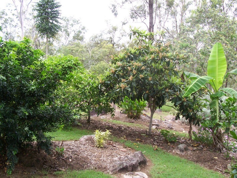 Gin Gin QLD 4671