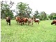 Gin Gin QLD 4671