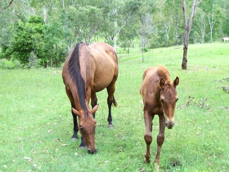Gin Gin QLD 4671