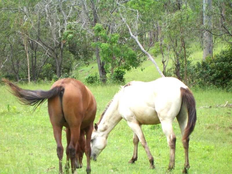 Gin Gin QLD 4671