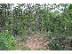 Pine Creek QLD 4670