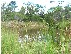 Gin Gin QLD 4671