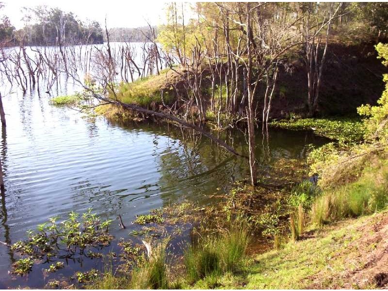 Bungadoo QLD 4671
