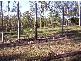 Bungadoo QLD 4671