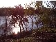 Bungadoo QLD 4671
