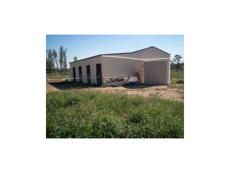 Ceratodus QLD 4627