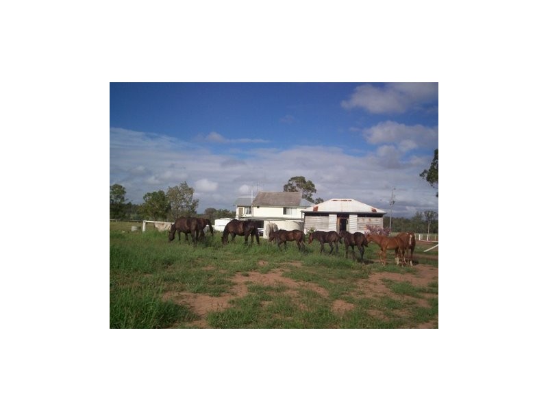 Ceratodus QLD 4627