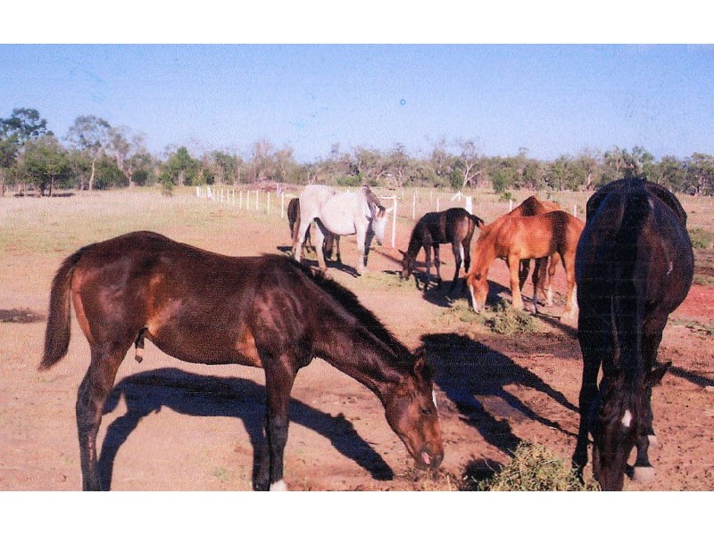 Ceratodus QLD 4627