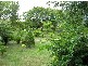 South Kolan QLD 4670