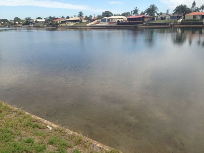 6 Pimpala Street, Wurtulla QLD 4575