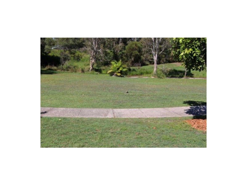 17 Calluna Place, Mountain Creek QLD 4557