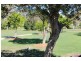 17 Calluna Place, Mountain Creek QLD 4557