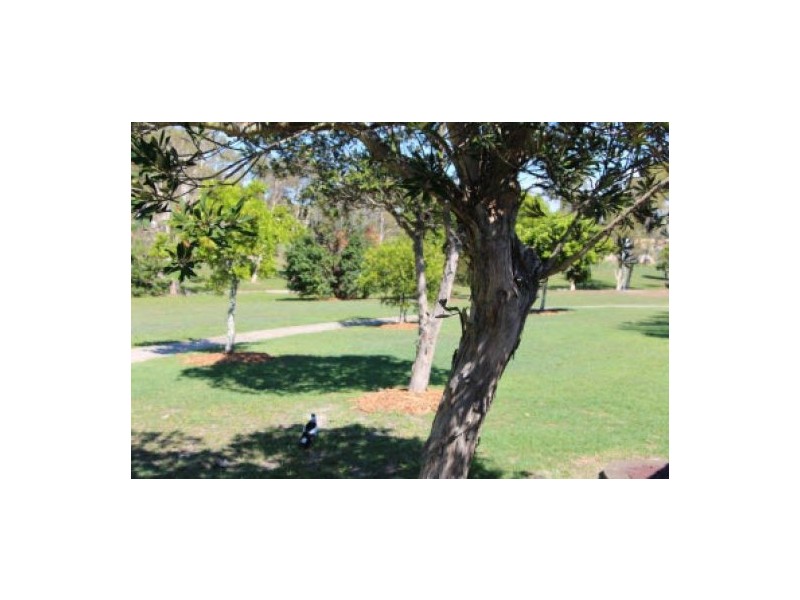 17 Calluna Place, Mountain Creek QLD 4557