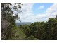 300 Ninderry Road, Ninderry QLD 4561
