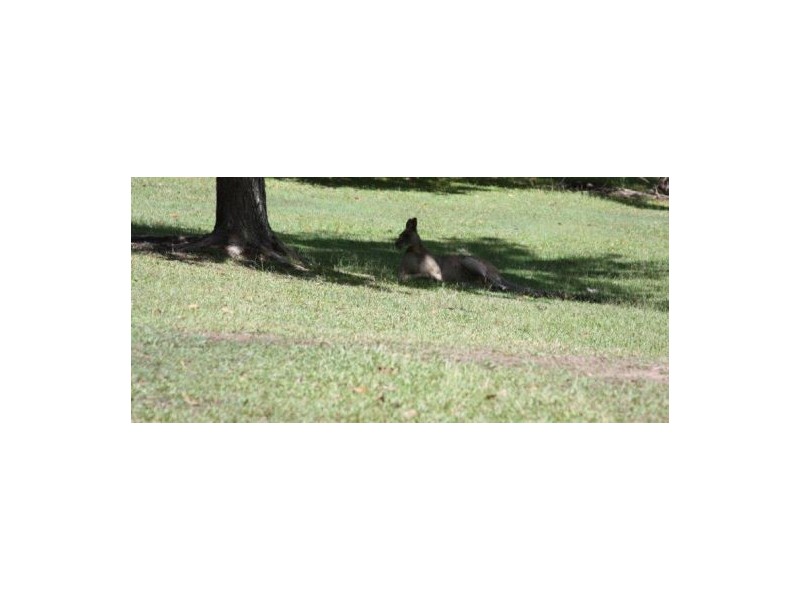 300 Ninderry Road, Ninderry QLD 4561