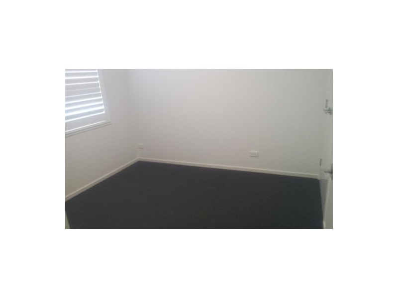 17 Maple Court, Yandina QLD 4561