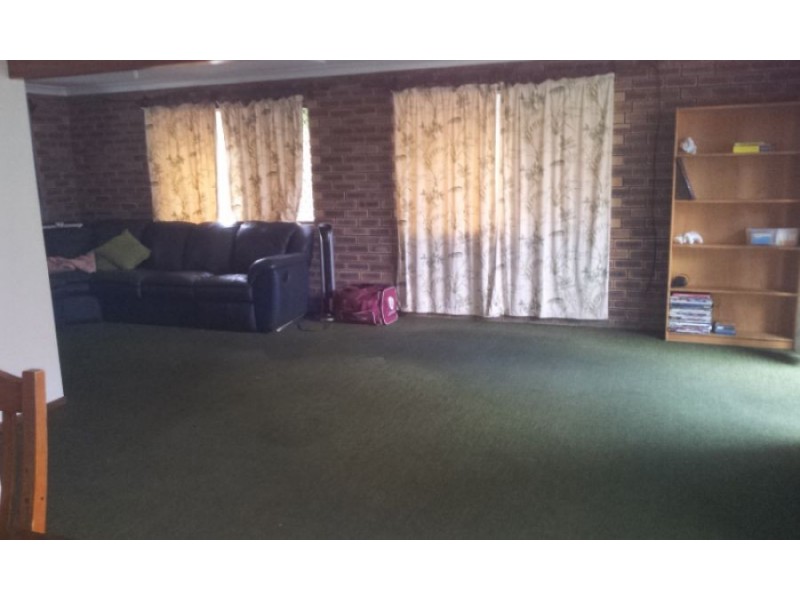 1 Akounah Court, Buddina QLD 4575