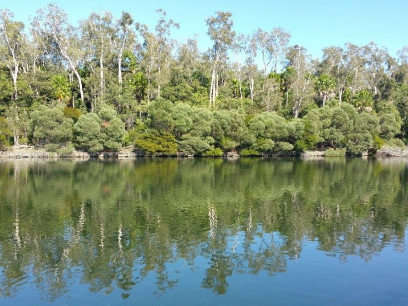 36 Serenity Circuit, Maroochydore QLD 4558