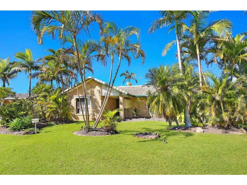 29 Millwell Road, Maroochydore QLD 4558