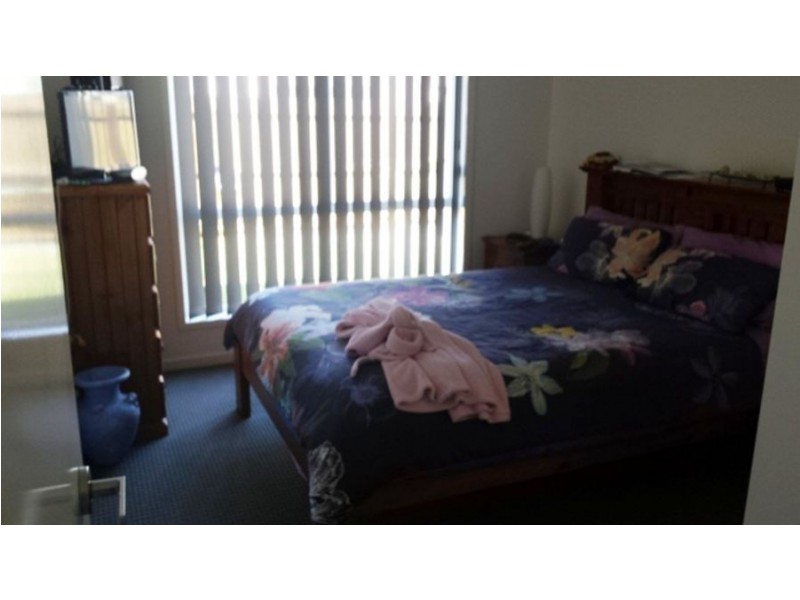 9 Curtis Street, Mountain Creek QLD 4557