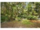 13 Turnipwood Dr, Buderim QLD 4556