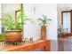 39 Dalby Street, Maroochydore QLD 4558