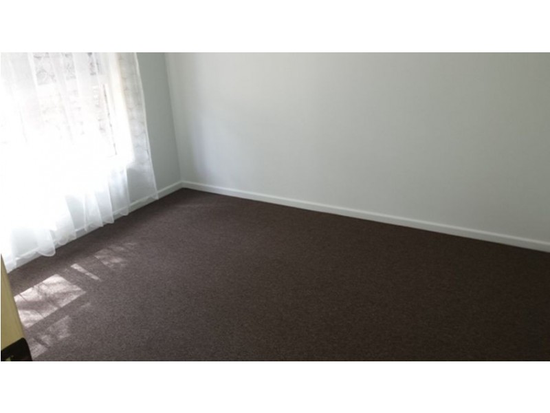 66 Millwell Road, Maroochydore QLD 4558