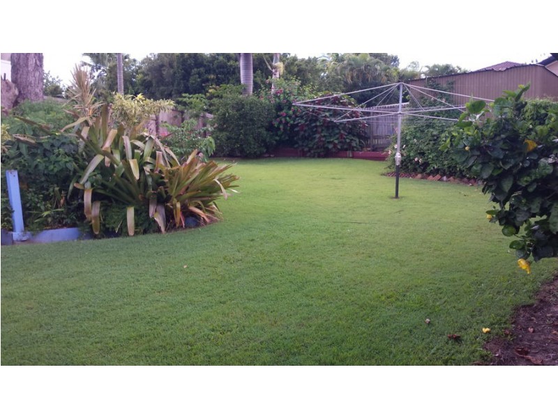 66 Millwell Road, Maroochydore QLD 4558