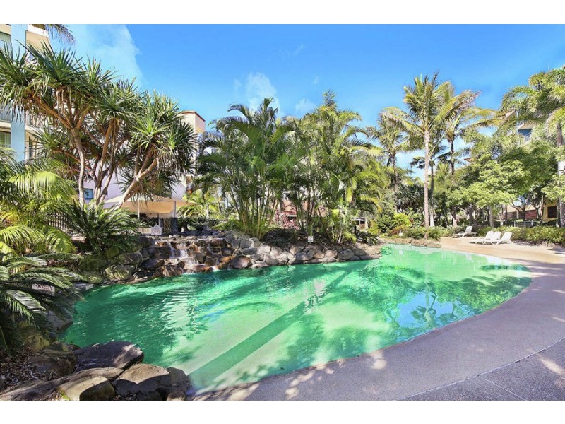 327/10 Okinja Road, Alexandra Headland QLD 4572