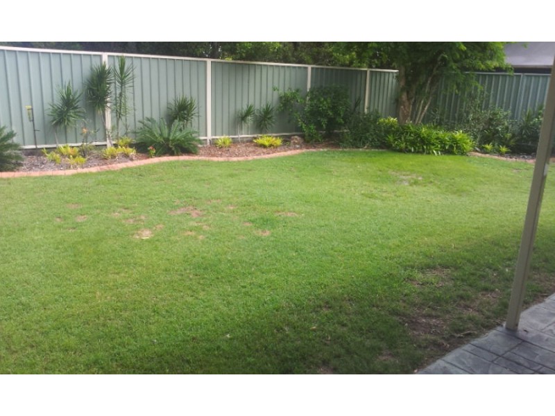 4 Rainbird Place, Wurtulla QLD 4575