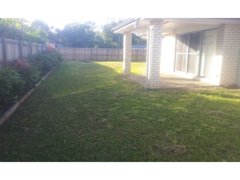 17 Maple Court, Yandina QLD 4561