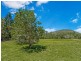 28 Shaws Road, Beerwah QLD 4519
