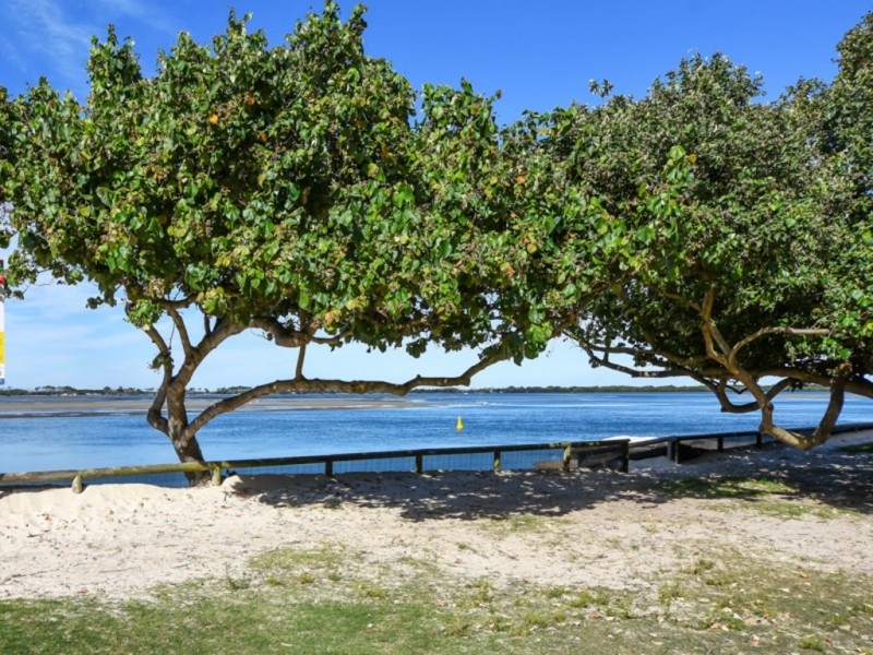 65 Esplanade, Golden Beach QLD 4551