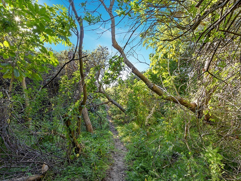 79 Oceanic Drive, Warana QLD 4575