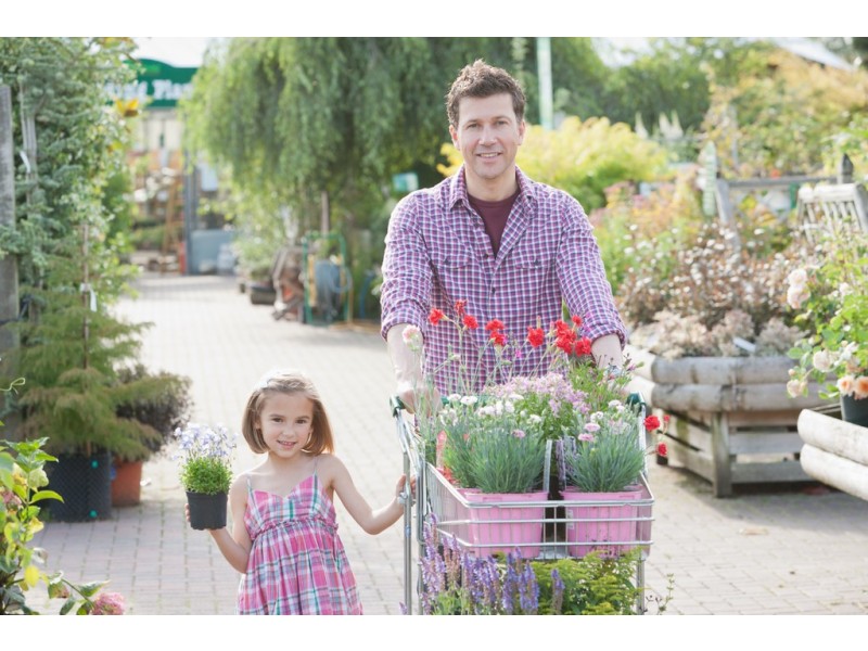 Unit 10/57-59 Beerwah Parade, Beerwah QLD 4519