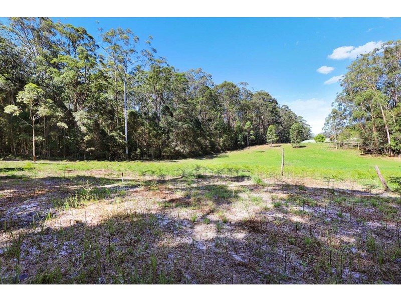 20 Kensington Lane, Tanawha QLD 4556