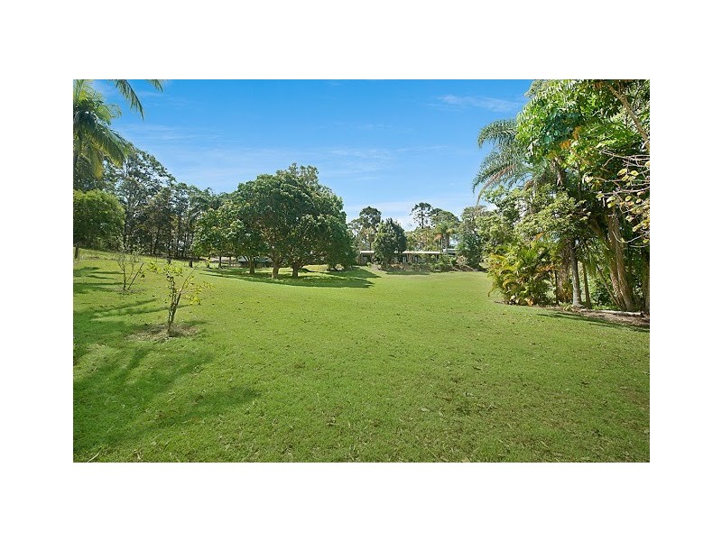 337 Palmwoods Montville Road, Palmwoods QLD 4555
