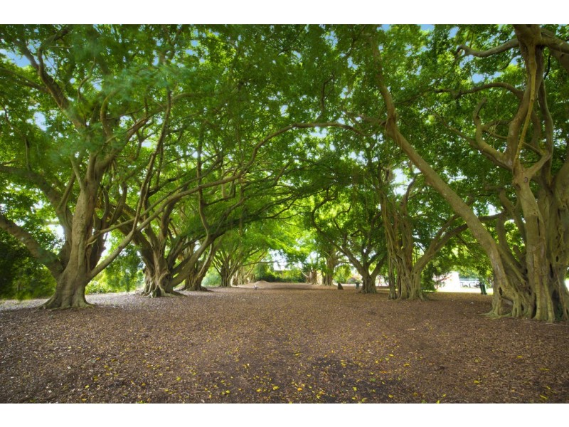 Lot 1/107 King Street, Buderim QLD 4556