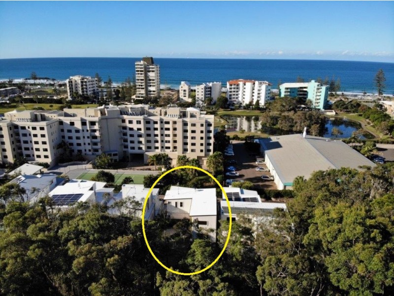 16 Mari Street, Alexandra Headland QLD 4572