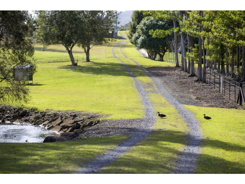 43 Lindeman Road, Beerwah QLD 4519