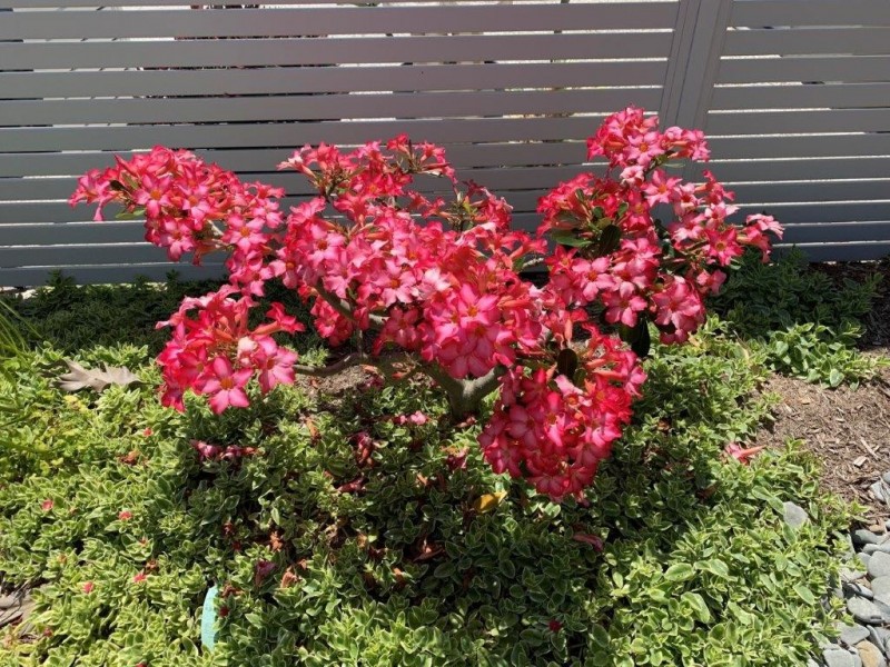 9 Hidden Place, Maroochydore QLD 4558